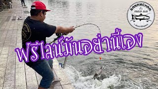 แนะนำวิธีเทคนิคตีฟรีไลน์ที่บึงสำราญ