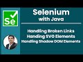 Session 39 - Selenium with Java | Handling Broken Links, SVG Elements, Shadow DOM | 2024 New Series