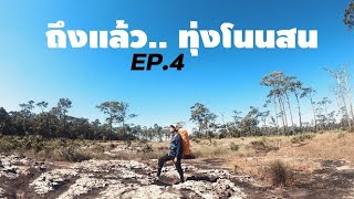 ลุยโลกกว้าง​ : เดินป่าทุ่งโนนสน​ EP.4​[ในที่สุดก็ถึงทุ่งโนนสนแล้ว]​