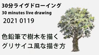 【色鉛筆画】色鉛筆でグリサイユ風に樹木を描きます、30分ライヴドローイング! coloredpencil drawing