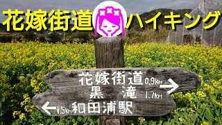 花嫁街道👰ハイキング 2021年3月4日