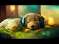 11 HOUR LoFi Dog Pet Therapy Music, Lo-Fi , CALMING MUSIC for Studying, & PET SEPARATION ANXIETY!