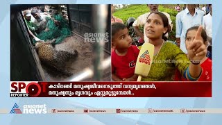 'ആ പുലി തന്നെയാണോ ഈ പുലി?, ഞങ്ങൾക്ക് അത് അറിയണം'; പ്രതിഷേധവുമായി നാട്ടുകാർ