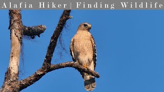 Hiking at Cockroach Creek Greenway Nature Preserve