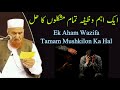 Ek Aham Wazifa | Tamam Mushkilon Ka Hal | Maulana Makki Al Hijazi | Islamic Group