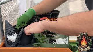 Replanting and Potting Hydroponic Pods