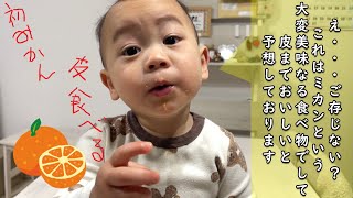 【皮も美味しいと勘違い😅みかんデビュー】赤ちゃん1歳6ヶ月