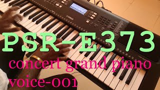 YAMAHA psr-E373 voice and style  performance demo 1