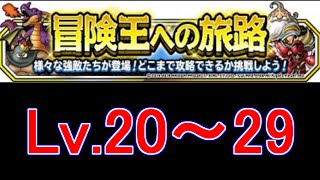 [DQMSL] 冒険王への旅路 Lv.20～29 クリア動画