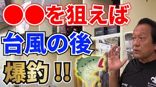 バスが岸に寄ってくる！●●を狙えば台風の後は爆釣！【村田基/ジム公認チャンネル】