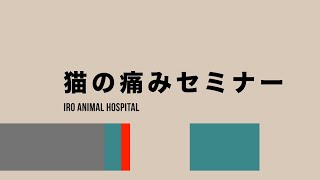 猫の痛みセミナー（口内炎編）ーいろ動物病院