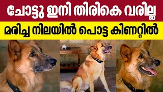 Chotu, Youtube Celebrity Dog from Kollam found dead , he was missing for days