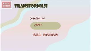 PROSES TRANSFORMASI BAKTERI (REPRODUKSI BAKTERI)