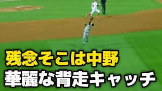 【超絶美技】中野拓夢、ライト前に落ちそうな打球に爆速背走ジャンピングキャッチ！スーパープレーにベンチも大盛り上がり！ 2024.5.23