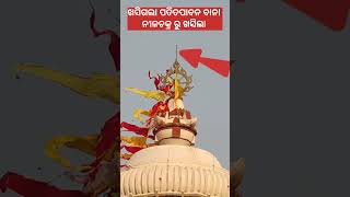 ନୀଳଚକ୍ର ରୁ ଖସିଗଲା ପତିତପାବନ ବାନା #vairalvideo #trending #shortvideo #jayjagannath