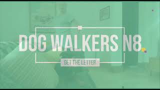 Teach your dog to get the letter with Wilma the Jag Terrier