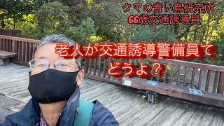 [危険！]老人が交通誘導警備員ってどうよ？