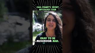 🍄🔬 "Mushroom Mad Mycology: Unveiling the Fungal Frontier" 🌍🧠