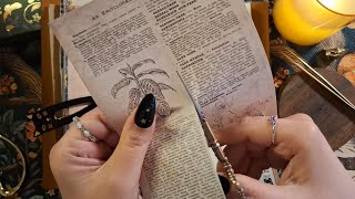 ASMR｜✨Soft Scrapbooking Sounds 📜ASMR for Relaxation |No Music |No Talking #papersounds  #journaling