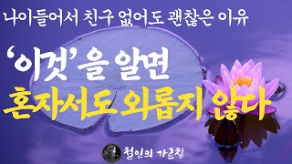 친구 1도 없어도 행복하게 혼자 잘 지내는 사람들의 특징 | 노년에는 다 소용없고 혼자 잘지내는 사람 특징ㅣ행복한 노후를 준비하는 방법 l 불교 철학|인간관계 l 법륜 석가모니