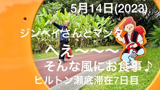 5月14日ヒルトン瀬底滞在リゾート7日目とうとう本部.今帰仁フリー切符を買ってしまった。それも5日券🎫！　やんばるバス乗り尽くしの旅が始まる予感！本日は、マンタちゃんとジンベイさんのお食事風景満載♪