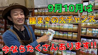 【今が大チャンス!!】珍しい秋冬野菜の種手に入れるなら今でしょ！