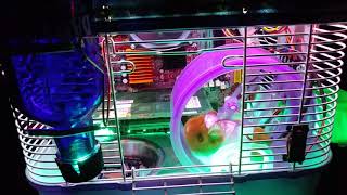 Hamster powered gaming PC