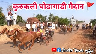 amazing horse race । कुरुकली घोडागाडी मैदान