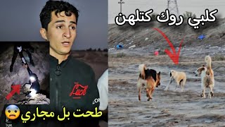 العودة بعد غياب _ اخذت كلابي لصيد روك يكتل كلاب البر _ سقوط صلبوخ بل مجاري😨