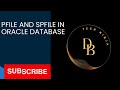 pfile spfile in oracle database