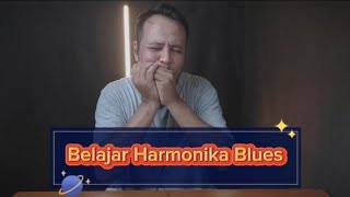 Belajar harmonika blues | cara main harmonika blues