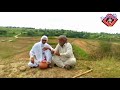 dadi bakhtoo or dady sheroo ne lrai pothowari drama asif shad haji qayyum