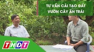 Cải tạo đất vườn cây ăn trái | Kiến thức nông nghiệp | THDT