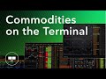 Bloomberg Terminal Essentials: Commodities
