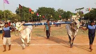 గోనెగండ్ల6పళ్ళు జత 16