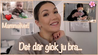 DET DÄR GICK JU BRA...🥲 MAMMALIVET OCH TRÄDGÅRDSPLANERING 🌸 VLOGG 159 - AMANDA MARIN