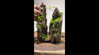 苔藓微景观，苔の微景観DIY MOSS ART | DONE SIMPLY苔蘚微景觀