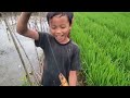 ampuuun dah bisa habis belut babon di kolam ini bocil ngureknya jago banget