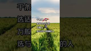 千条路选适合自己的#人性#人生 #人生感悟 #感情