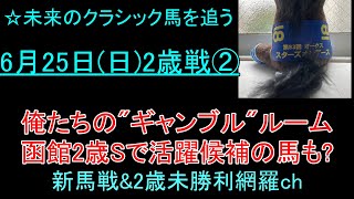 牡馬の怪物ギャンブルルーム！クールベイビー函館2歳Sを見据えたレース #新馬戦 #競馬予想 #競馬