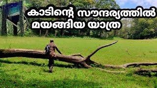 പെരിയാർ വന്യജീവി സങ്കേതത്തിൽ ഉൾവനത്തിൽ | Deep Forest Stay and Trekking|Periyar Tiger Trail |Part12