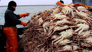 Awesome Big King Crab Fishing on The Sea - Catching And Processing King Crab On The Morden Boat #06