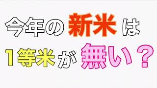 今年の新米は1等米が無い？