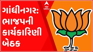 ગાંધીનગર: કમલમમાં ભાજપની બેઠક, ગુજરાત વિધાનસભા અને ગ્રામ્ય પંચાયતની ચૂંટણી મામલે ચર્ચા