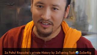 Za Paltul Rinpoche’s private History by ZaTsering Tashi. རྫ་དཔལ་སྤྲུལ་སྐོར། 🌏ZaSer Rigsang VP13579