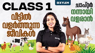 Class 1 | Chapter : നന്നായി വളരാൻ - വീട്ടിൽ വളർത്തുന്ന ജീവികൾ | Xylem Class 1