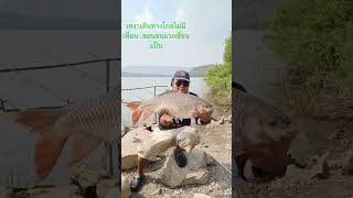 #shorts #รถถังเขื่อนลำตะคอง#หมายธรรมชาติ#ตกปลาหน้าดิน#shortvideo