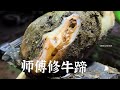 師傅修牛蹄，剛開始就爆漿了 #神奇動物在哪裏 #animals