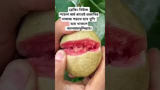 ব্রেকিং নিউজ পহেলা মার্চ রাতেই তারাবির নামাজ পড়তে হবে