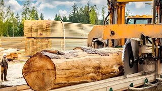 🔥 Sawmill Live: Cutting \u0026 Stacking Firewood in Action!